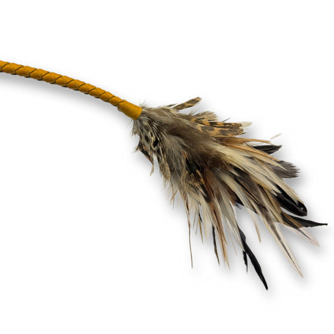 フェザーバウンサー11