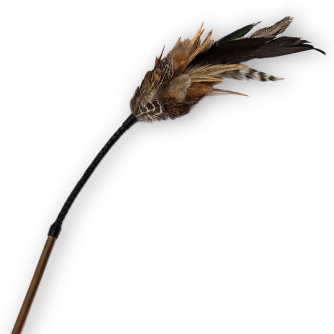 フェザーバウンサー14