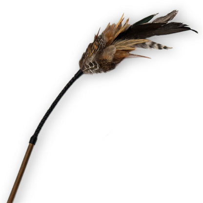 フェザーバウンサー14