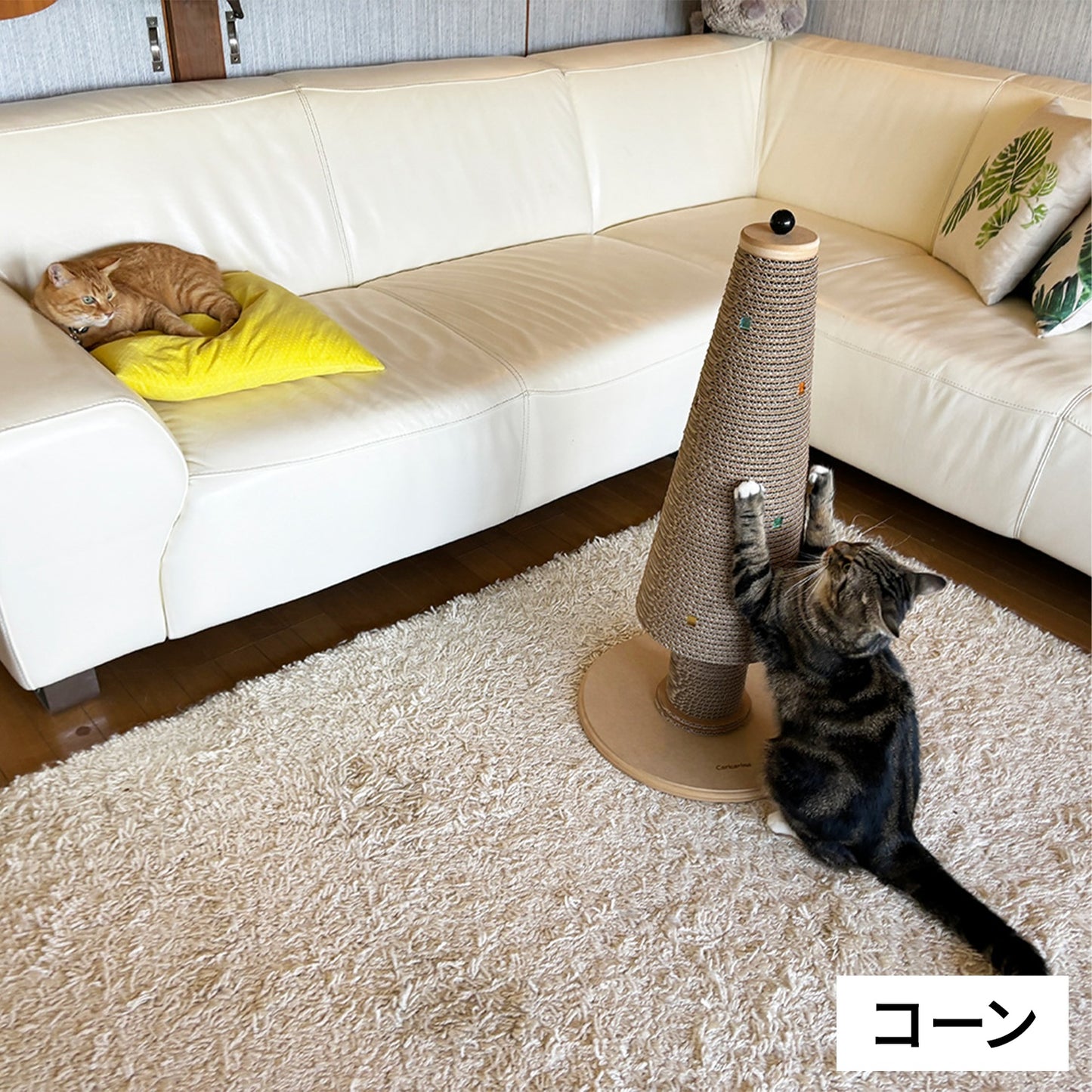 ALBERO di Natale アルベロ　イメージ（コーン）②