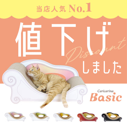 Basicがもっとお求めやすくなりました