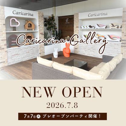 Caricarina Gallery