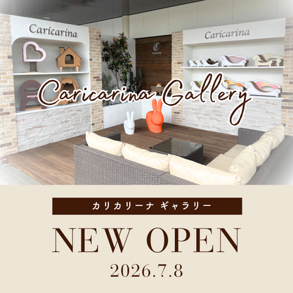 Caricarina Gallery