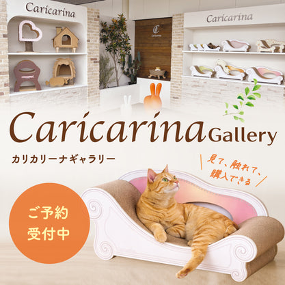 Caricarina Gallery