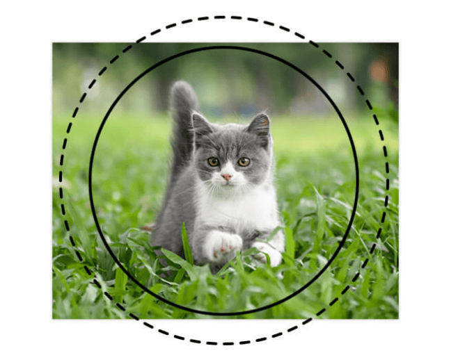 背景が少ない写真だと…