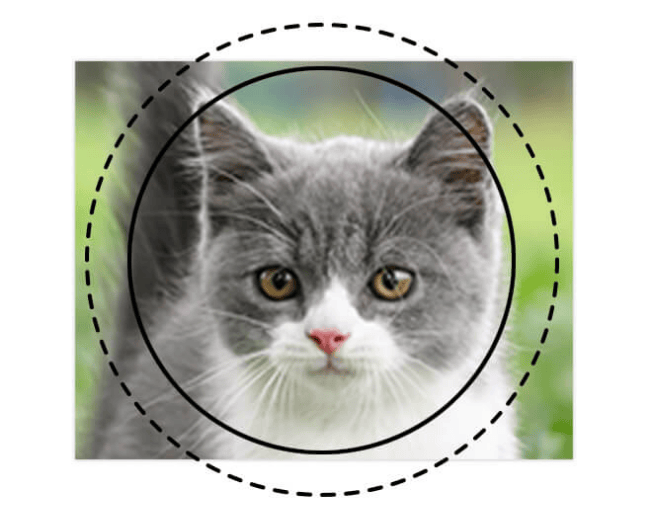 アップの写真だと…