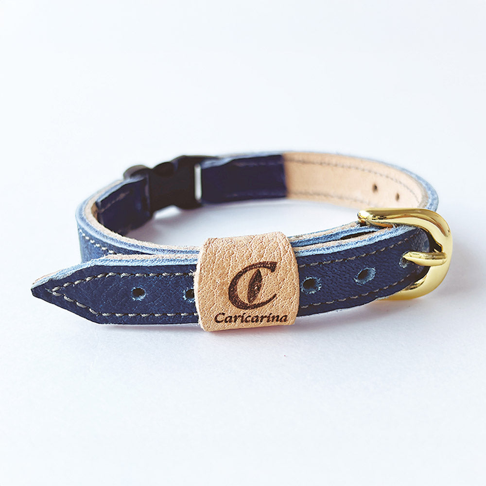 カラリーナ_インディゴ_01