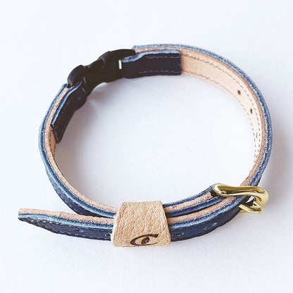 カラリーナ_インディゴ_02