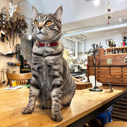 colarina カラリーナ_ヤネ1