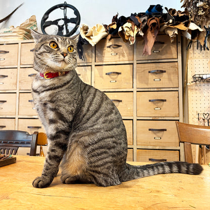 colarina カラリーナ_ヤネ3